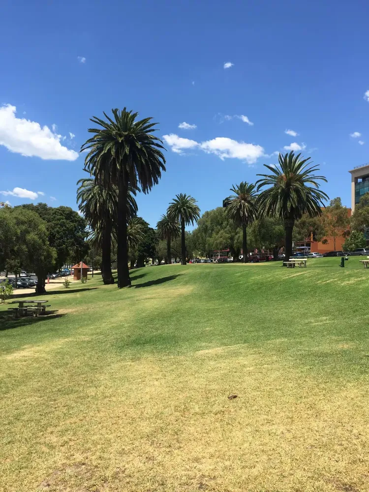 爱游戏体育- 澳大利亚选手 