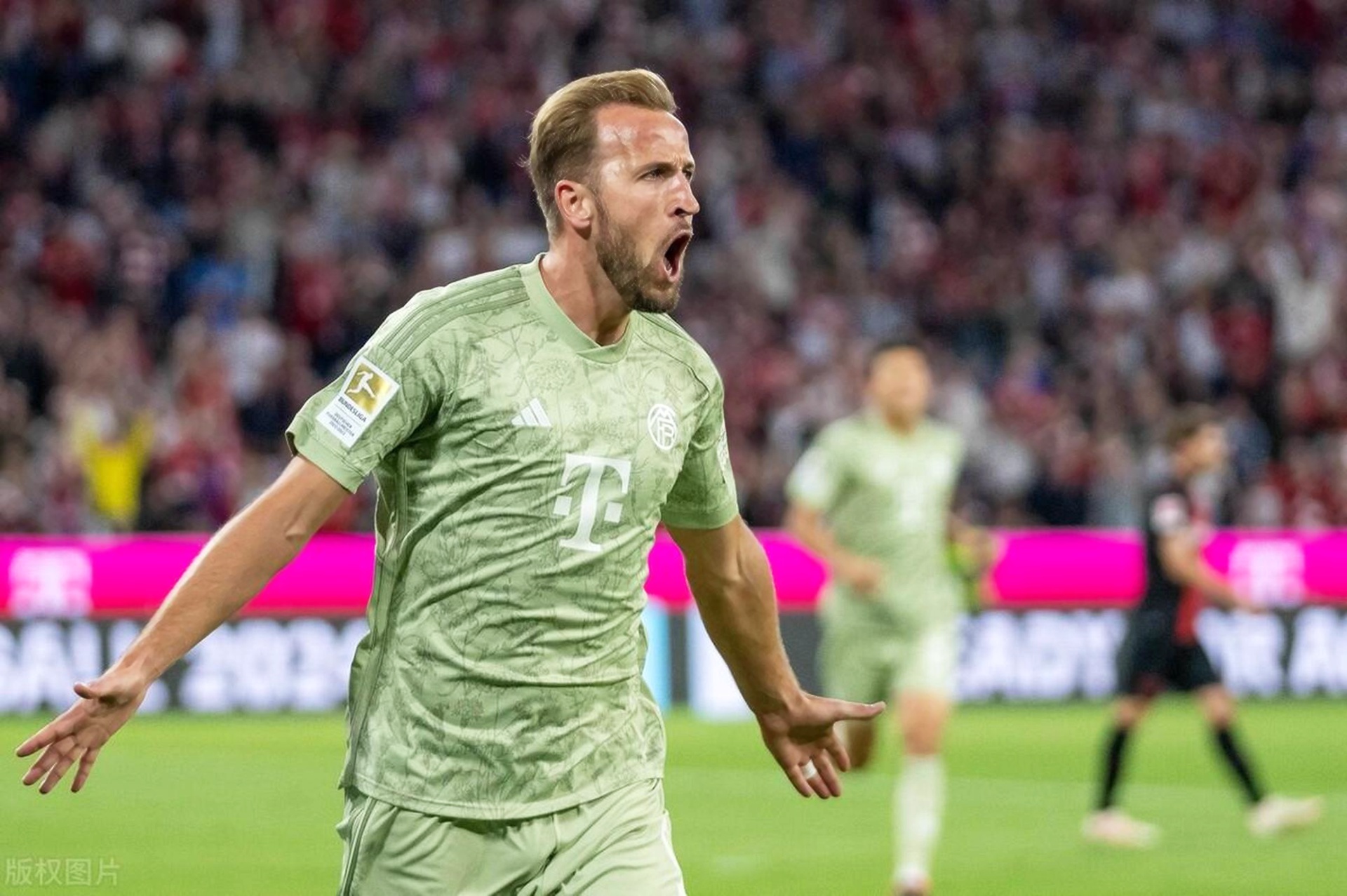 AYX-关于凯恩赛事官方发布连败新规，塞尔维亚队争议不断！的信息